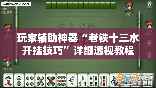 玩家辅助神器“老铁十三水开挂技巧	”详细透视教程