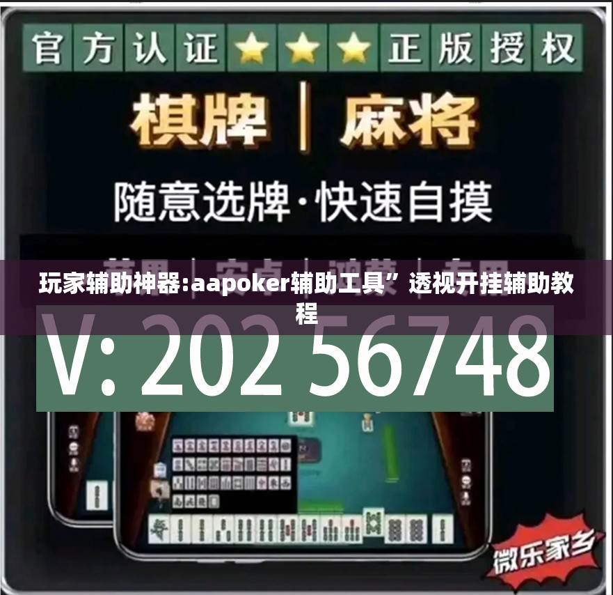 玩家辅助神器:aapoker辅助工具”透视开挂辅助教程
