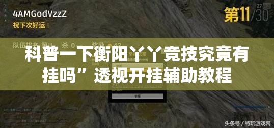 科普一下衡阳丫丫竞技究竟有挂吗	”透视开挂辅助教程