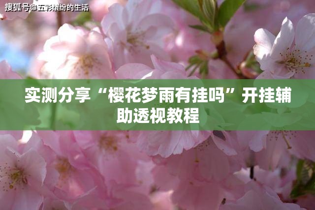 实测分享“樱花梦雨有挂吗”开挂辅助透视教程