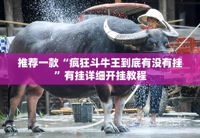 推荐一款“疯狂斗牛王到底有没有挂”有挂详细开挂教程