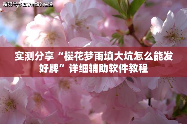 实测分享“樱花梦雨填大坑怎么能发好牌	”详细辅助软件教程