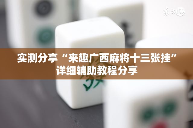 实测分享“来趣广西麻将十三张挂”详细辅助教程分享