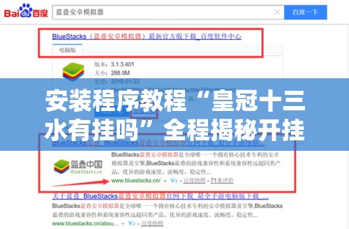 安装程序教程“皇冠十三水有挂吗”全程揭秘开挂教程