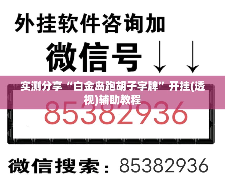 实测分享“白金岛跑胡子字牌”开挂(透视)辅助教程