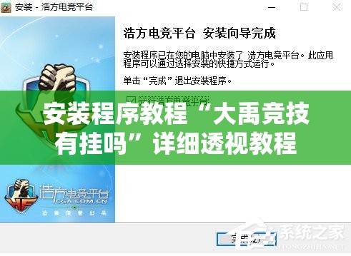 安装程序教程“大禹竞技有挂吗”详细透视教程