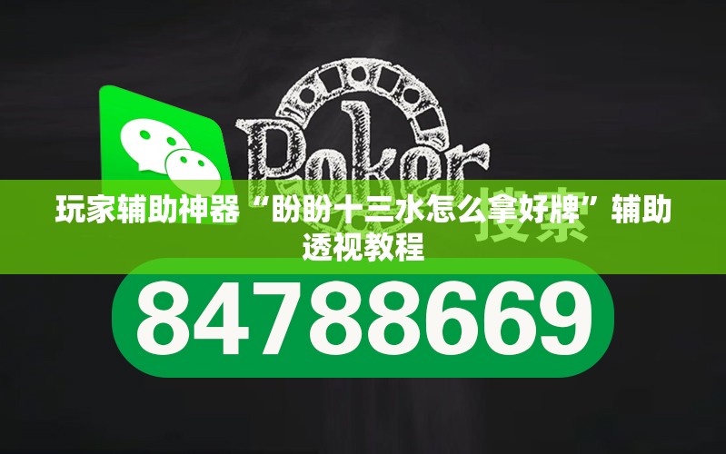 玩家辅助神器“盼盼十三水怎么拿好牌”辅助透视教程