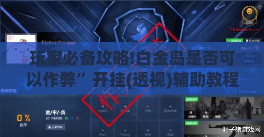 玩家必备攻略!白金岛是否可以作弊”开挂(透视)辅助教程