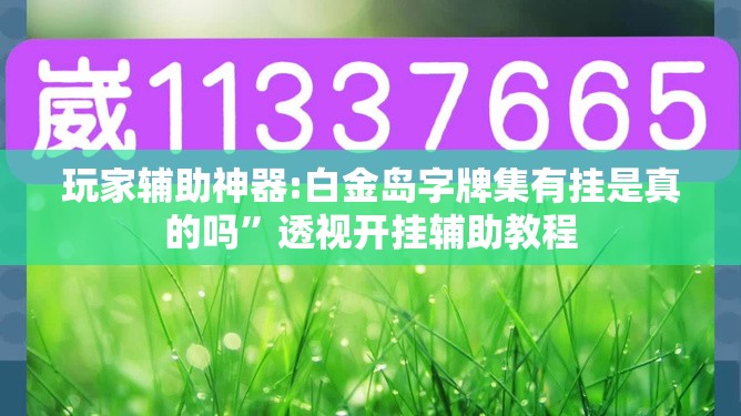 玩家辅助神器:白金岛字牌集有挂是真的吗”透视开挂辅助教程