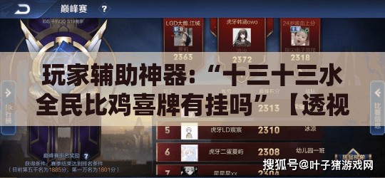 玩家辅助神器:“十三十三水全民比鸡喜牌有挂吗”【透视软件教程分享】
