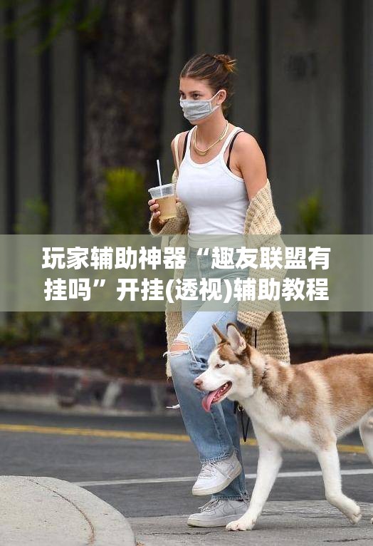 玩家辅助神器“趣友联盟有挂吗”开挂(透视)辅助教程