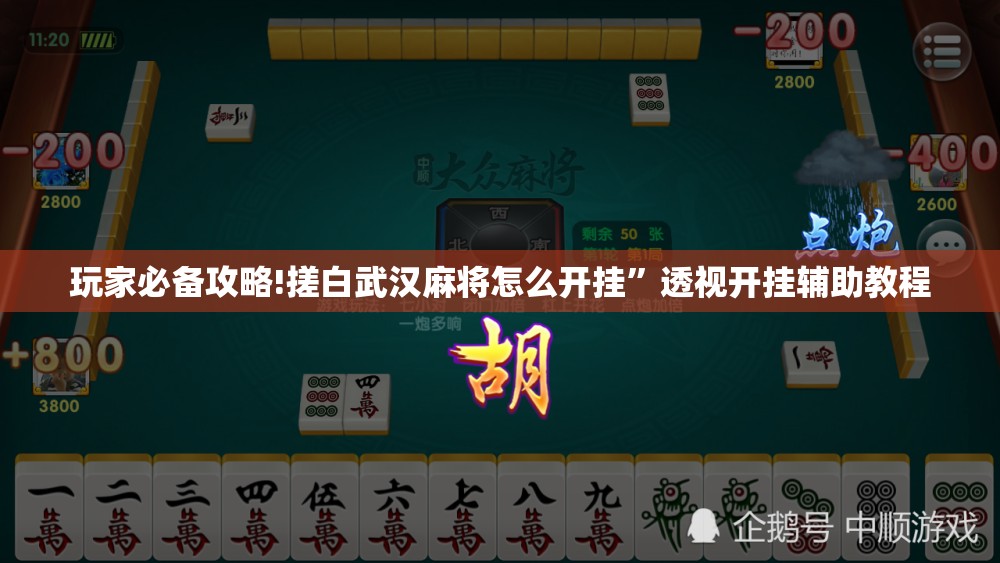 玩家必备攻略!搓白武汉麻将怎么开挂”透视开挂辅助教程