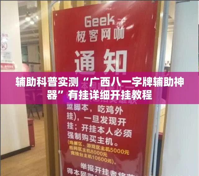 辅助科普实测“广西八一字牌辅助神器”有挂详细开挂教程
