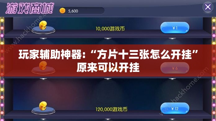 玩家辅助神器:“方片十三张怎么开挂”原来可以开挂