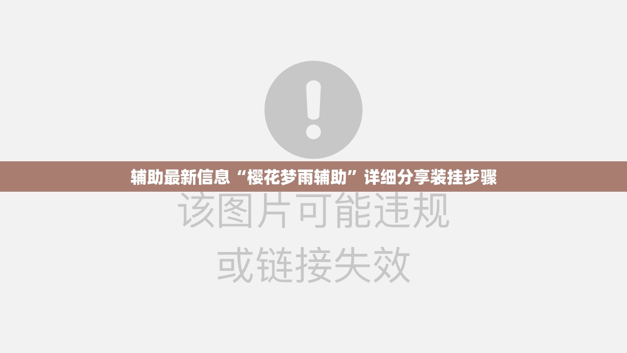 辅助最新信息“樱花梦雨辅助”详细分享装挂步骤