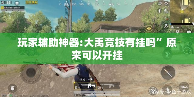 玩家辅助神器:大禹竞技有挂吗”原来可以开挂