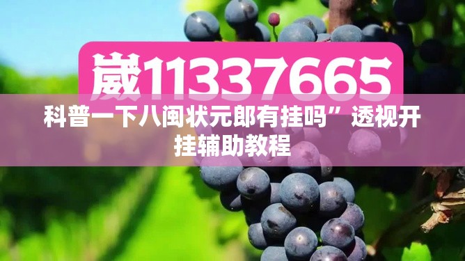 科普一下八闽状元郎有挂吗”透视开挂辅助教程