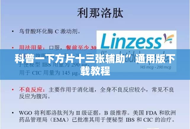 科普一下方片十三张辅助	”通用版下载教程