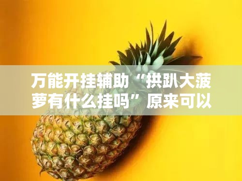 万能开挂辅助“拱趴大菠萝有什么挂吗	”原来可以开挂