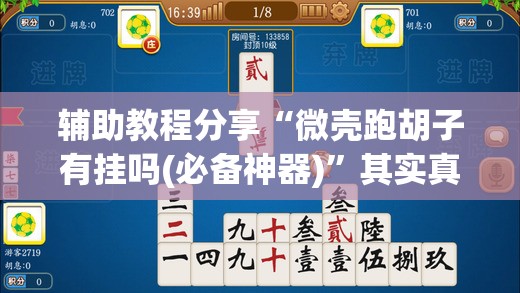 辅助教程分享“微壳跑胡子有挂吗(必备神器)	”其实真的确实有挂