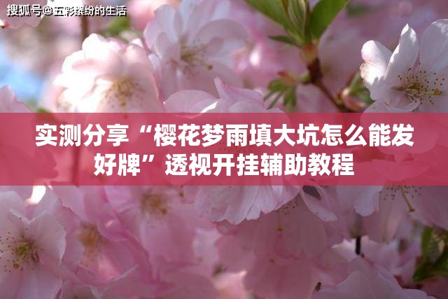 实测分享“樱花梦雨填大坑怎么能发好牌”透视开挂辅助教程