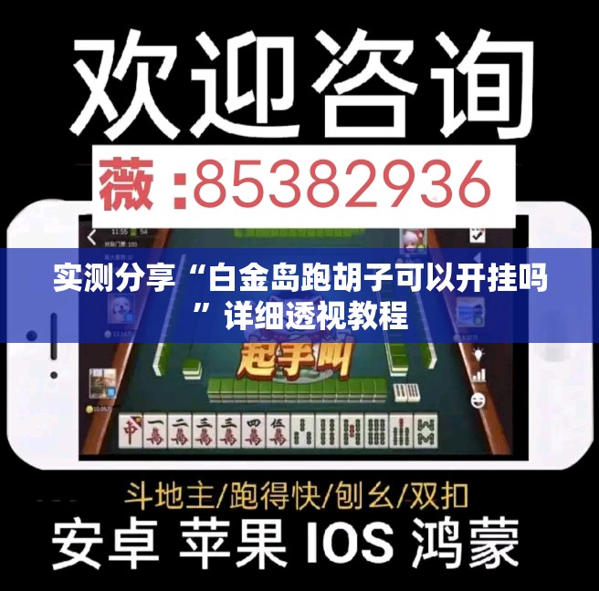 实测分享“白金岛跑胡子可以开挂吗”详细透视教程