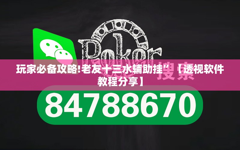 玩家必备攻略!老友十三水辅助挂”【透视软件教程分享】