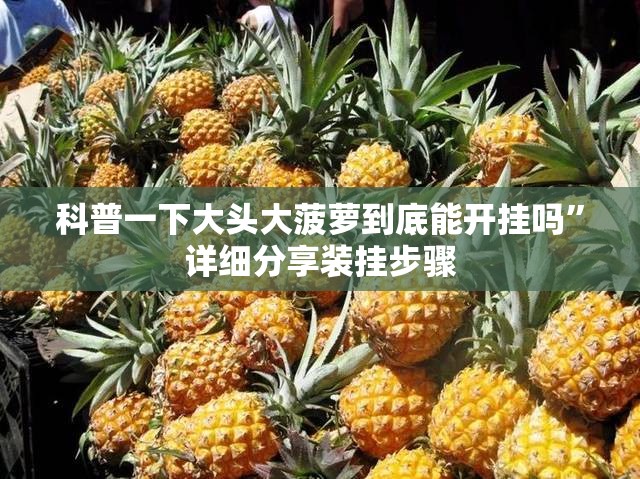 科普一下大头大菠萝到底能开挂吗”详细分享装挂步骤