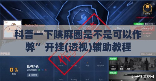 科普一下陕麻圈是不是可以作弊	”开挂(透视)辅助教程
