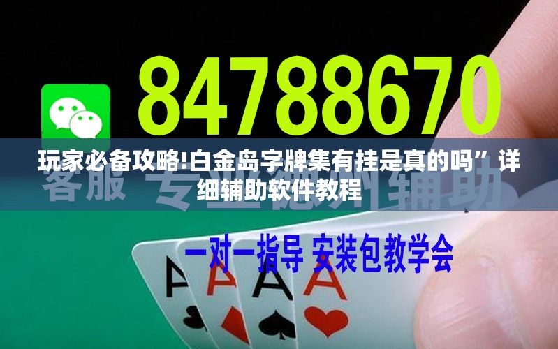 玩家必备攻略!白金岛字牌集有挂是真的吗”详细辅助软件教程