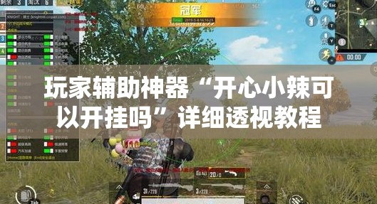 玩家辅助神器“开心小辣可以开挂吗”详细透视教程