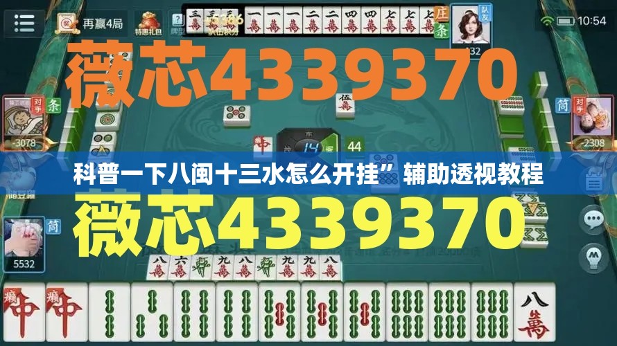 科普一下八闽十三水怎么开挂	”辅助透视教程