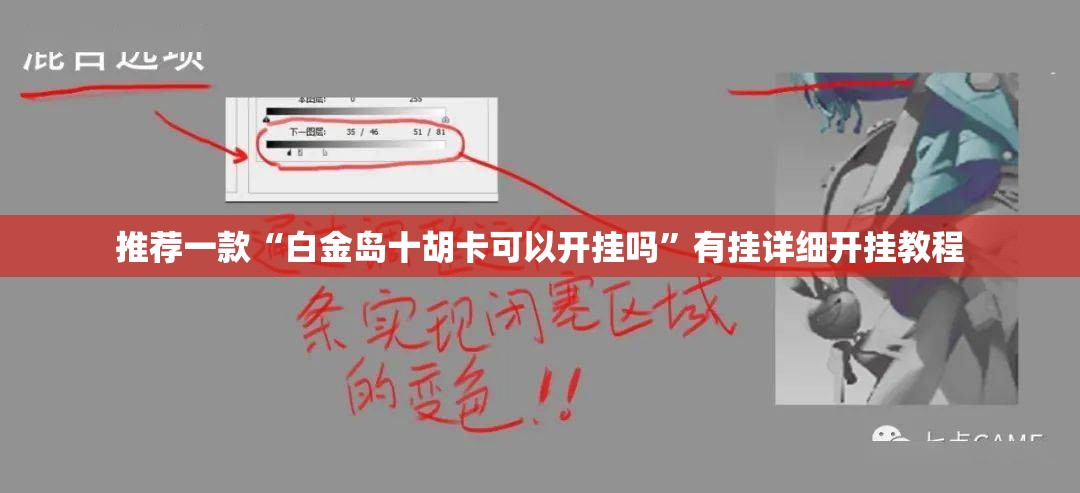 推荐一款“白金岛十胡卡可以开挂吗”有挂详细开挂教程