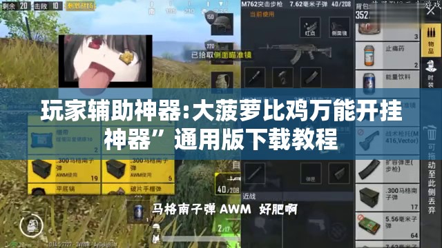 玩家辅助神器:大菠萝比鸡万能开挂神器	”通用版下载教程