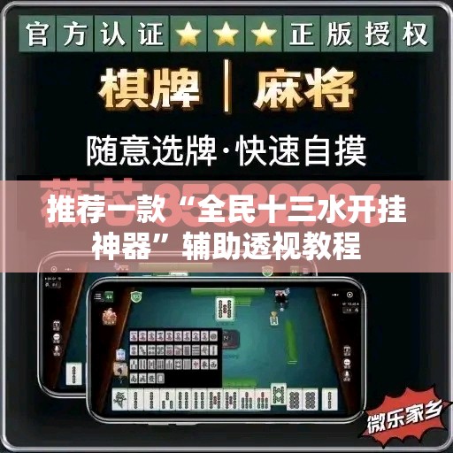 推荐一款“全民十三水开挂神器”辅助透视教程