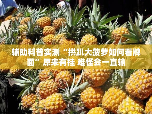 辅助科普实测“拱趴大菠萝如何看牌面”原来有挂 难怪会一直输