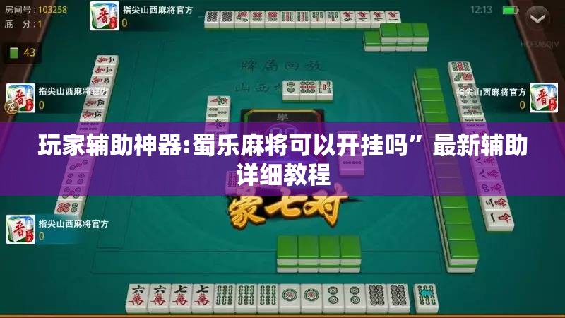 玩家辅助神器:蜀乐麻将可以开挂吗”最新辅助详细教程