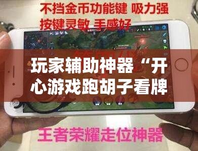 玩家辅助神器“开心游戏跑胡子看牌器”原来可以开挂