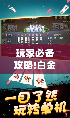 玩家必备攻略!白金岛跑胡子辅助软件”【透视软件教程分享】