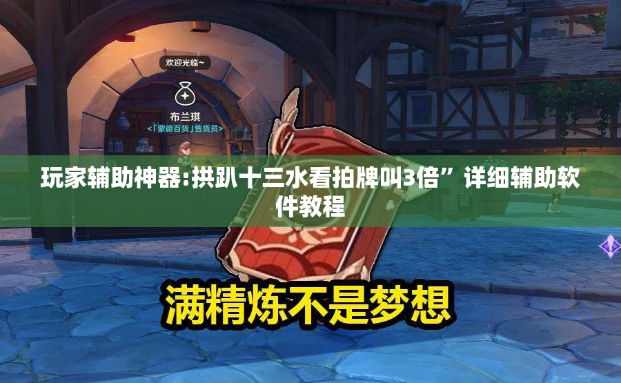 玩家辅助神器:拱趴十三水看拍牌叫3倍”详细辅助软件教程