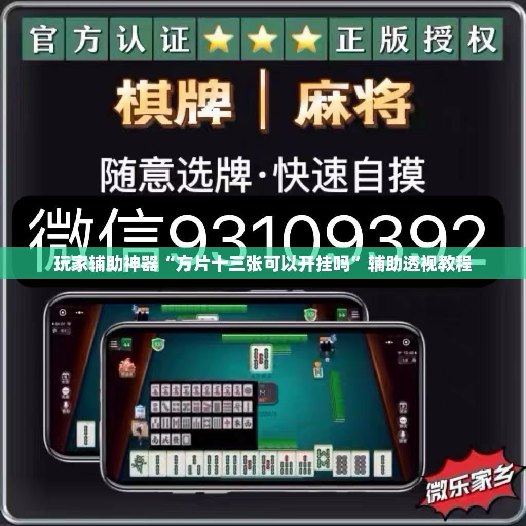 玩家辅助神器“方片十三张可以开挂吗	”辅助透视教程