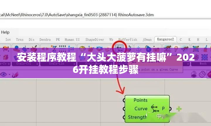 安装程序教程“大头大菠萝有挂嘛	”2026开挂教程步骤