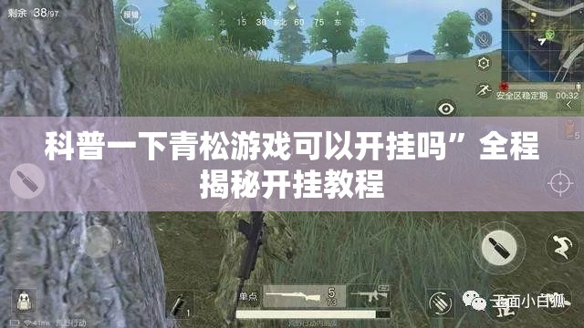 科普一下青松游戏可以开挂吗	”全程揭秘开挂教程