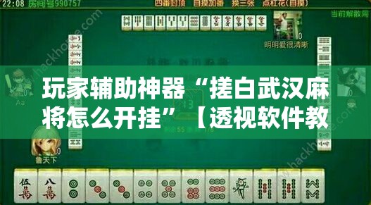 玩家辅助神器“搓白武汉麻将怎么开挂	”【透视软件教程分享】
