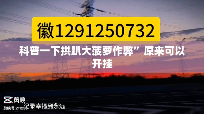 科普一下拱趴大菠萝作弊”原来可以开挂