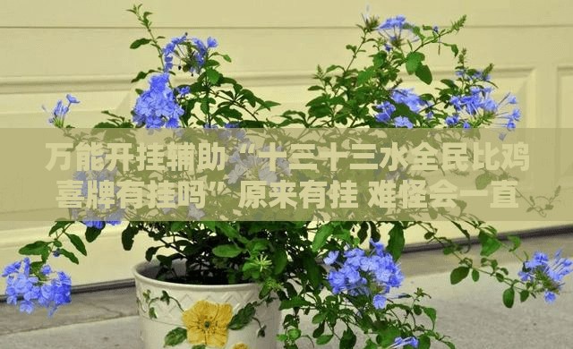万能开挂辅助“十三十三水全民比鸡喜牌有挂吗”原来有挂 难怪会一直输