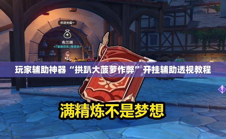 玩家辅助神器“拱趴大菠萝作弊”开挂辅助透视教程