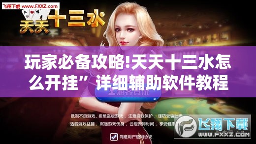 玩家必备攻略!天天十三水怎么开挂”详细辅助软件教程