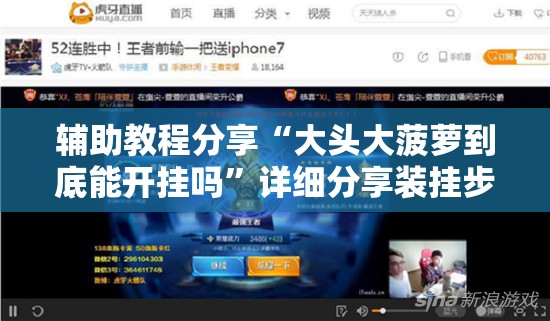 辅助教程分享“大头大菠萝到底能开挂吗”详细分享装挂步骤