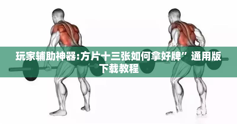 玩家辅助神器:方片十三张如何拿好牌”通用版下载教程